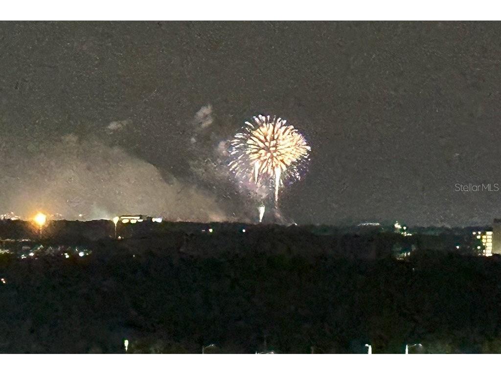 8125 Resort Village Drive #51201 Orlando FL 32821 O6306325 image59