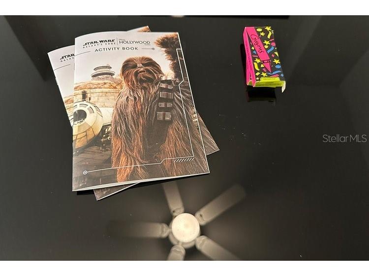 8125 Resort Village Drive #51201 Orlando FL 32821 O6306325 image6