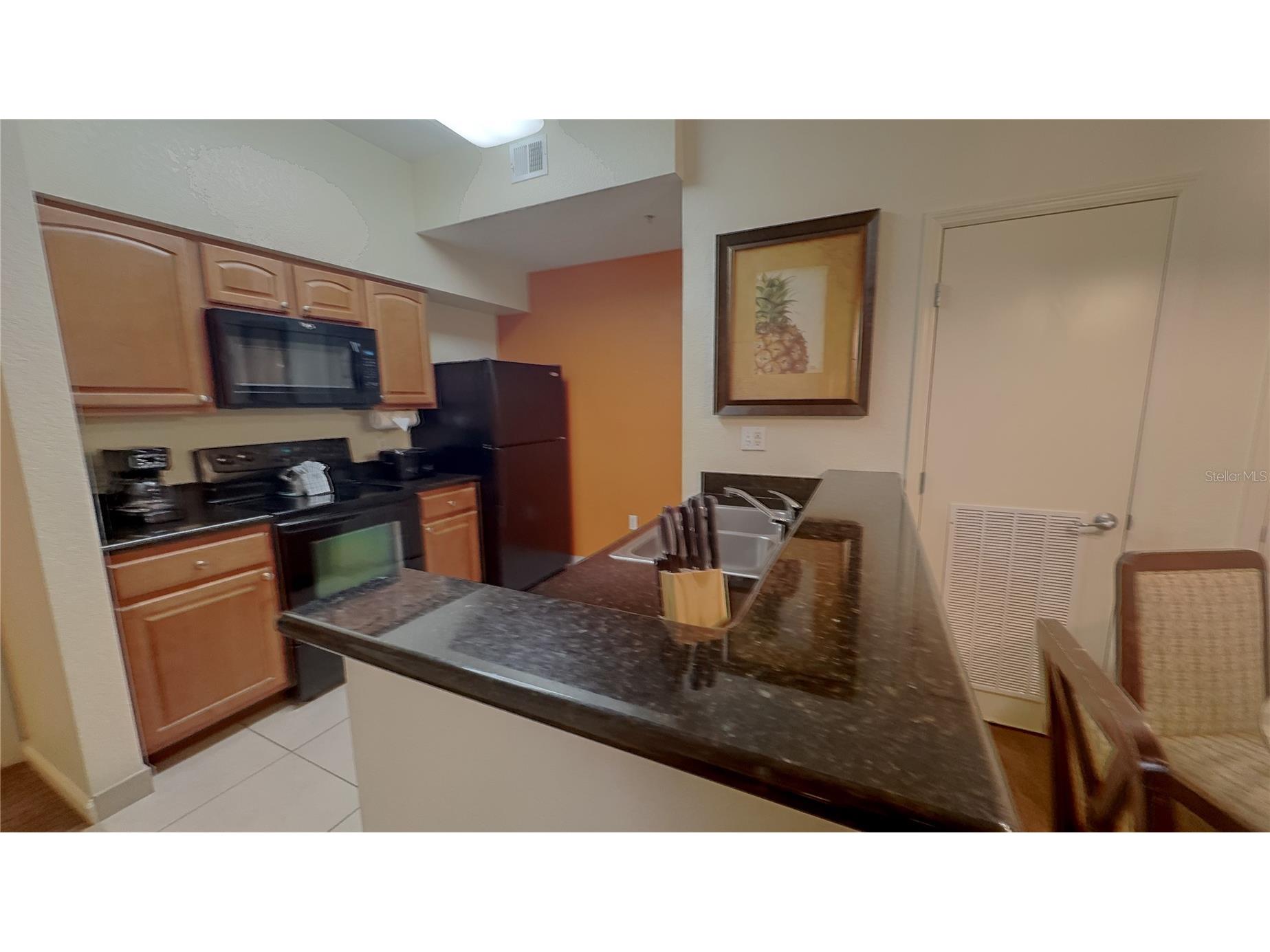8125 Resort Village Drive #5304 Orlando FL 32821 O6391780 image9