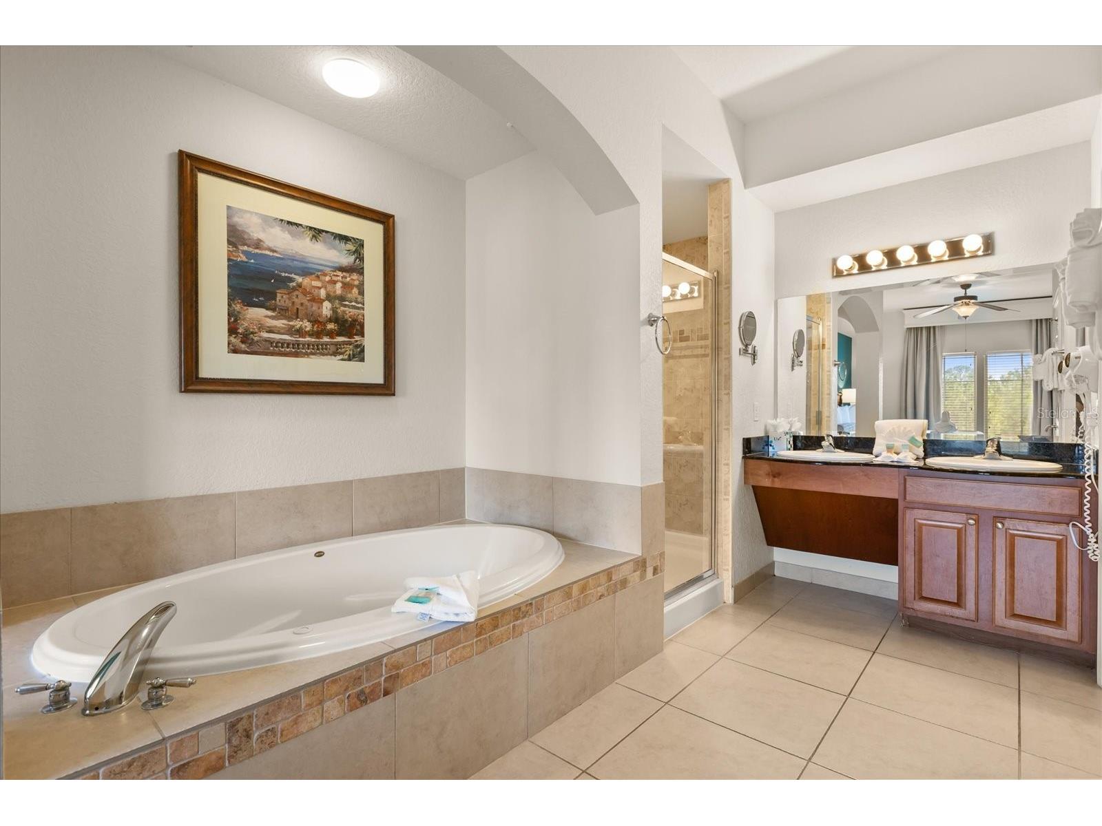 8125 Resort Village Drive #5403 Orlando FL 32821 O6331750 image13