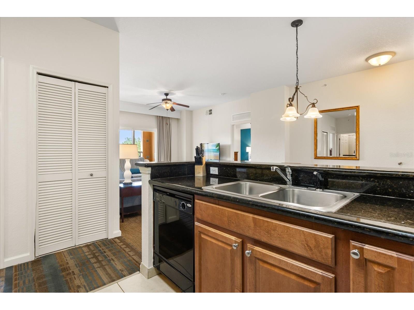 8125 Resort Village Drive #5403 Orlando FL 32821 O6331750 image5