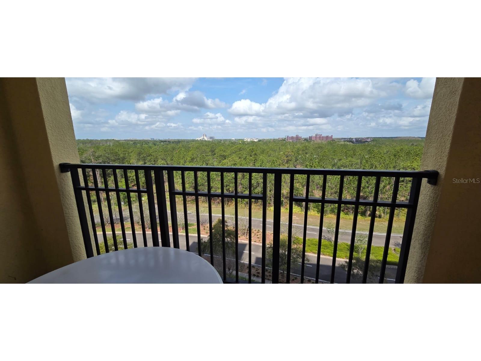8125 Resort Village Drive #5803 Orlando FL 32821 O6394256 image12