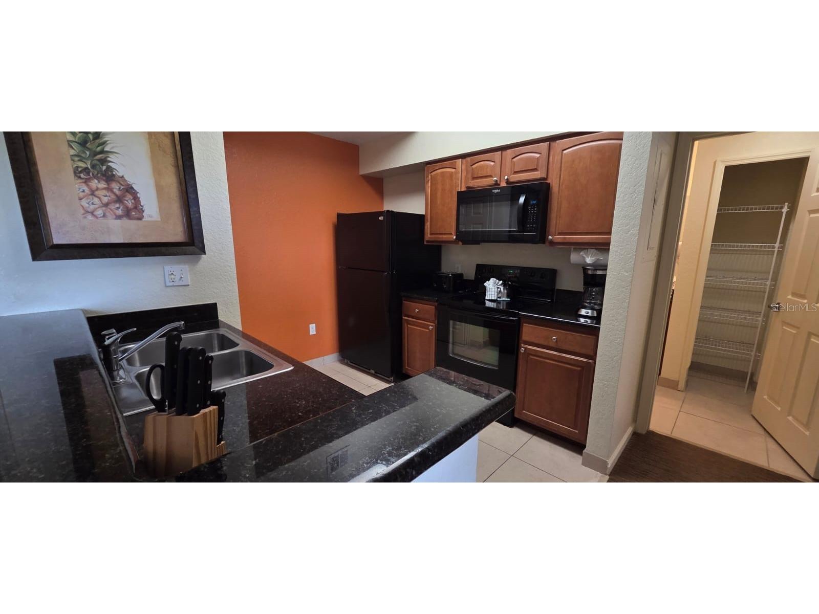 8125 Resort Village Drive #5803 Orlando FL 32821 O6394256 image6
