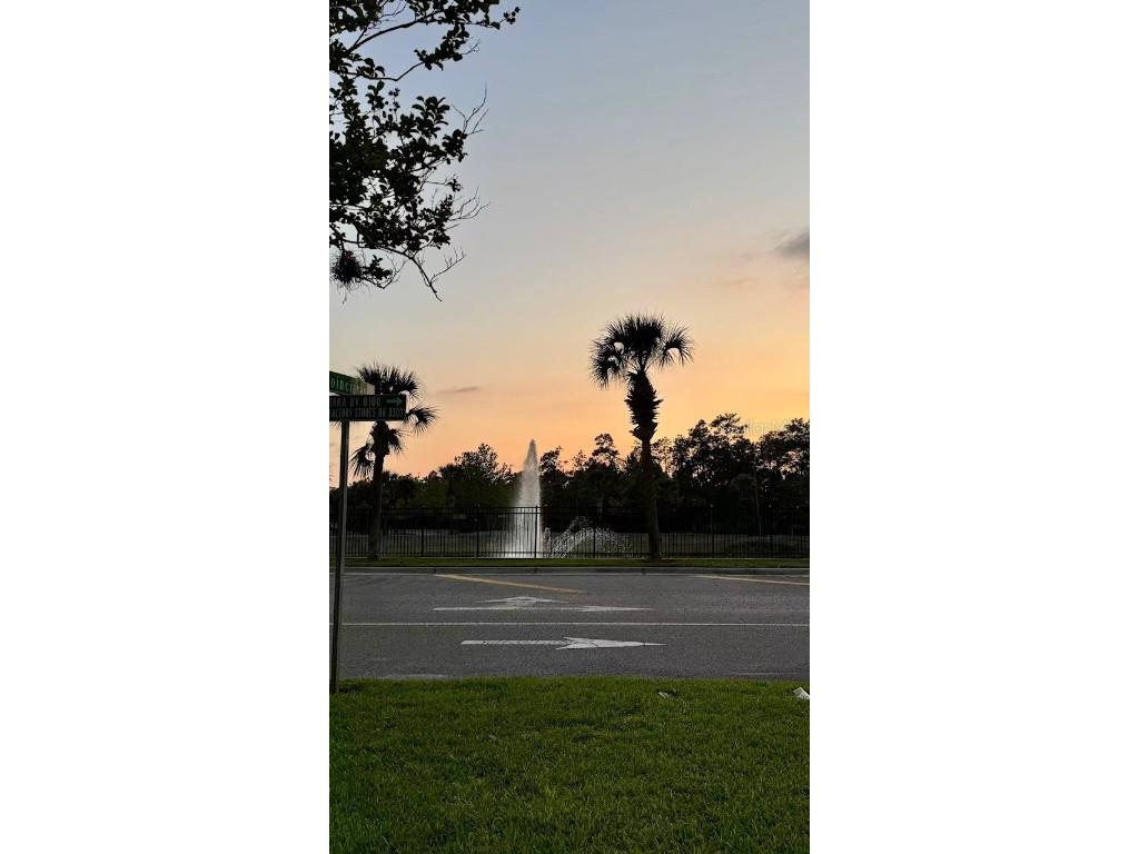 8125 Resort Village Drive #5808 Orlando FL 32821 O6308777 image11