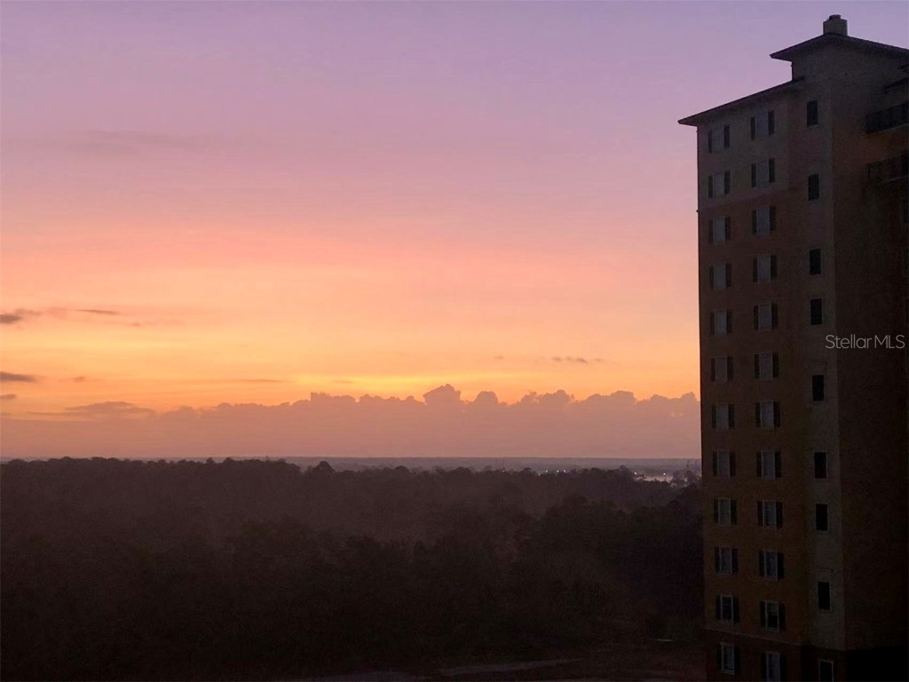 8125 Resort Village Drive #5808 Orlando FL 32821 O6308777 image13