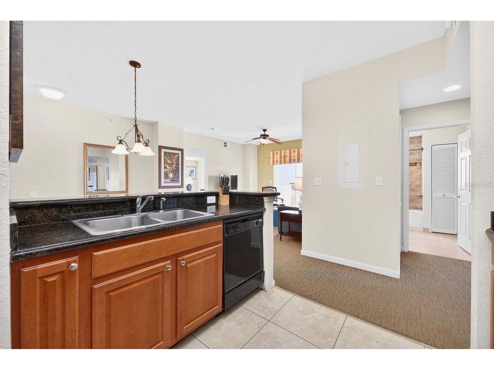 8125 Resort Village Drive #5901 Orlando FL 32821 O6381345 image10