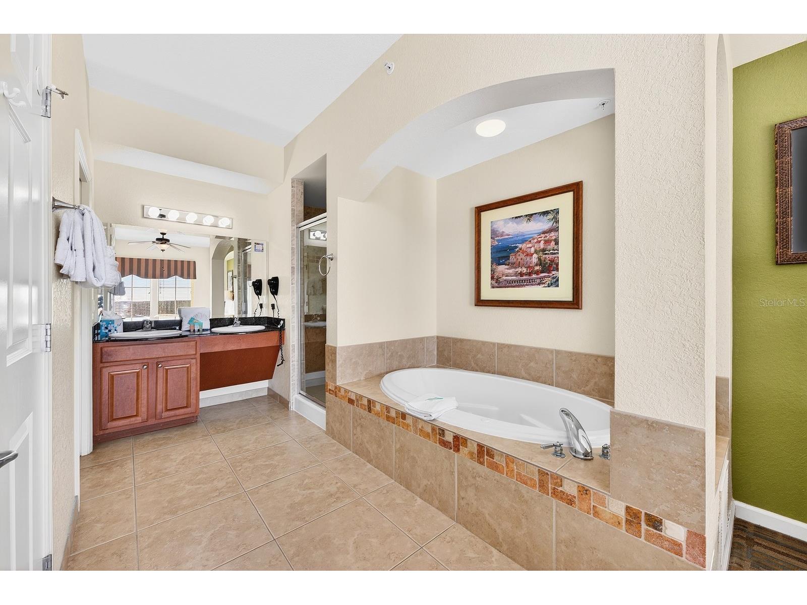 8125 Resort Village Drive #5901 Orlando FL 32821 O6381345 image14