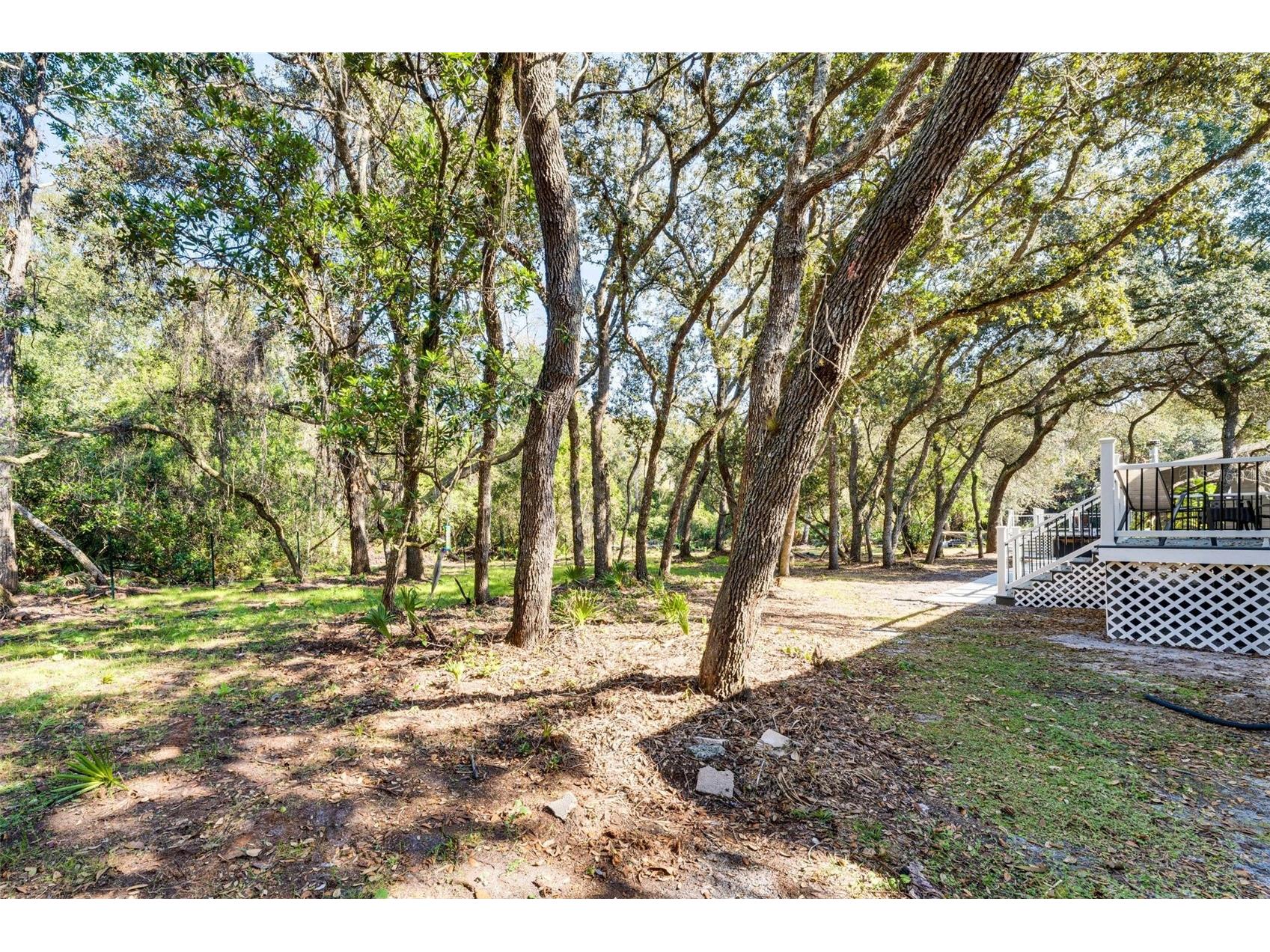 8125 Shelley Trail Kissimmee FL 34747 S5151194 image17