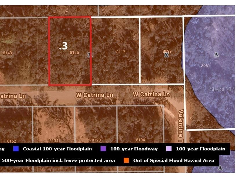 8125 W Catrina Lane Crystal River FL 34428 OM705986 image1