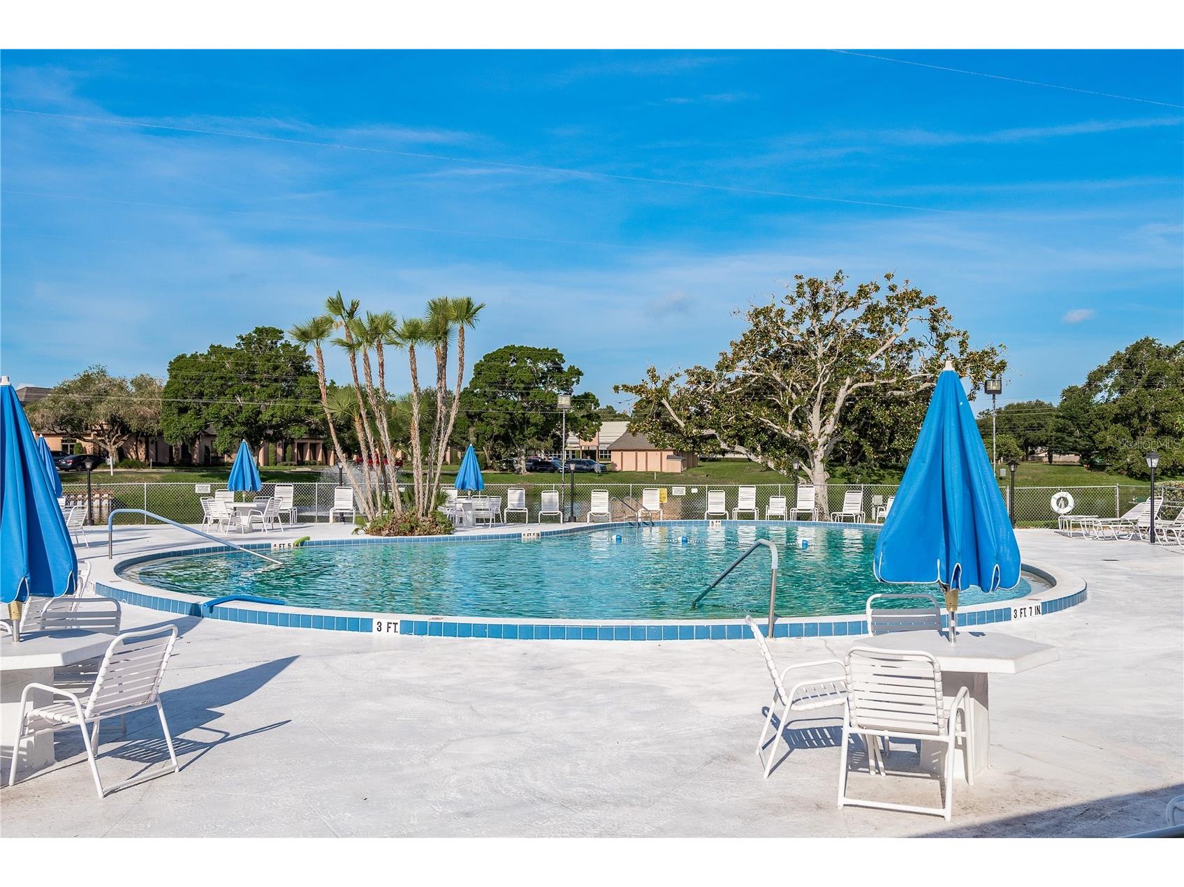 8126 112th Street #306 Seminole FL 33772 TB8496051 image21