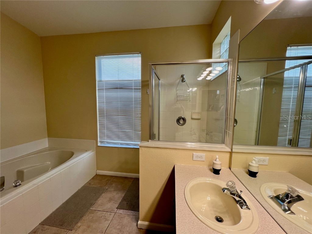 8127 Fan Palm Way Kissimmee FL 34747 S5135831 image20