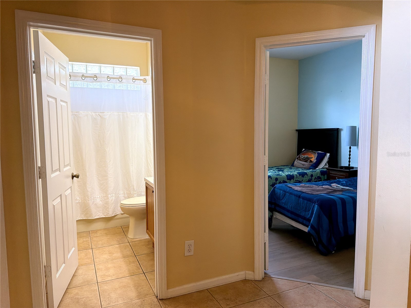 8127 Fan Palm Way Kissimmee FL 34747 TB8524454 image13