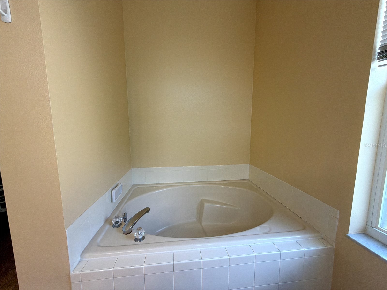 8127 Fan Palm Way Kissimmee FL 34747 TB8524454 image32