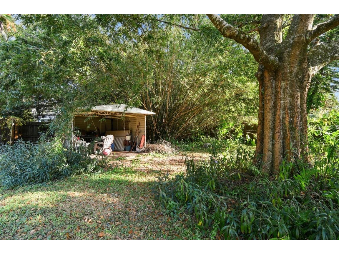 8127 N Packwood Avenue Tampa FL 33604 TB8450428 image25