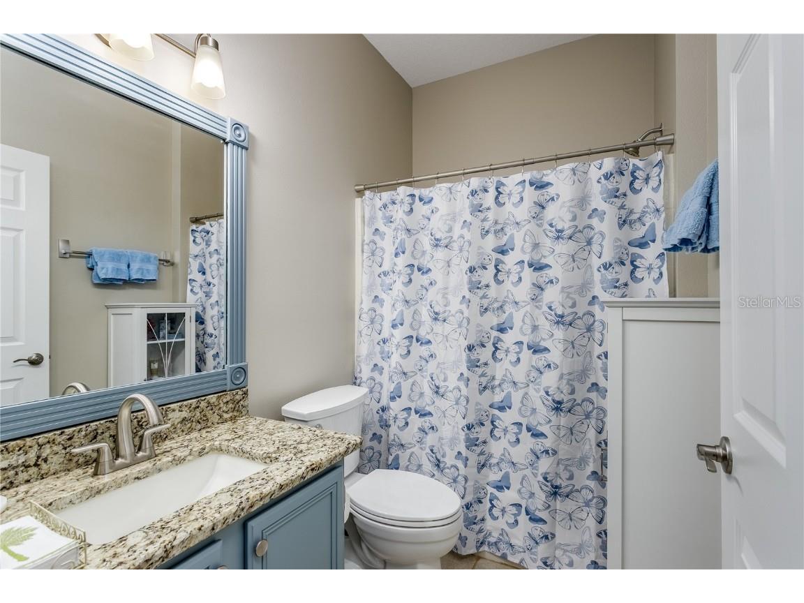 8128 Ambersweet Place Land O Lakes FL 34637 TB8430541 image18