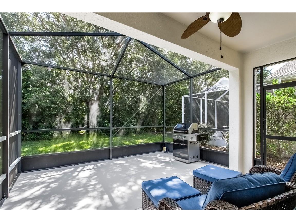 8128 Ambersweet Place Land O Lakes FL 34637 TB8430541 image22