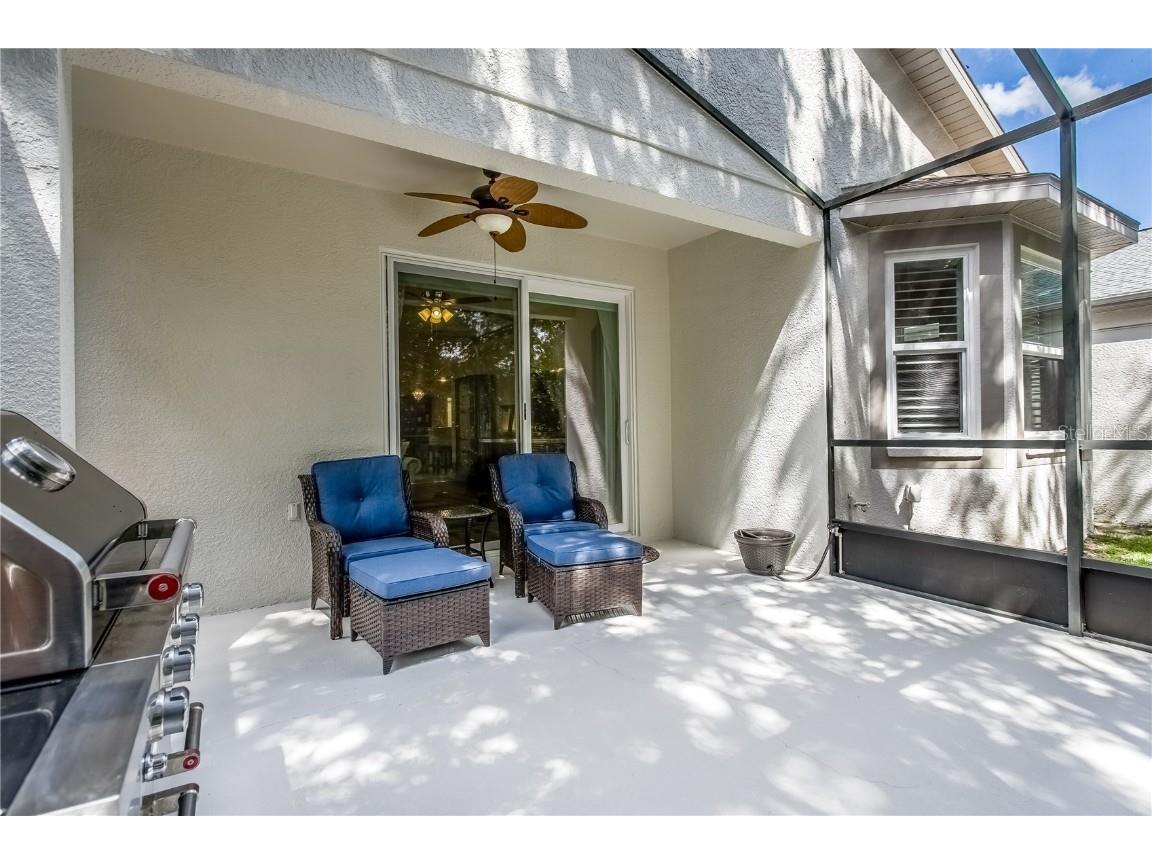 8128 Ambersweet Place Land O Lakes FL 34637 TB8430541 image26