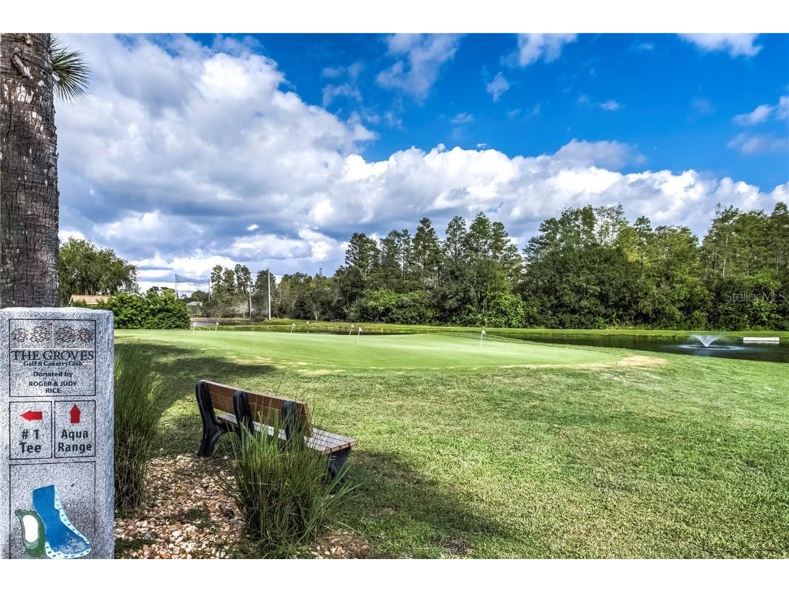 8128 Ambersweet Place Land O Lakes FL 34637 TB8430541 image30