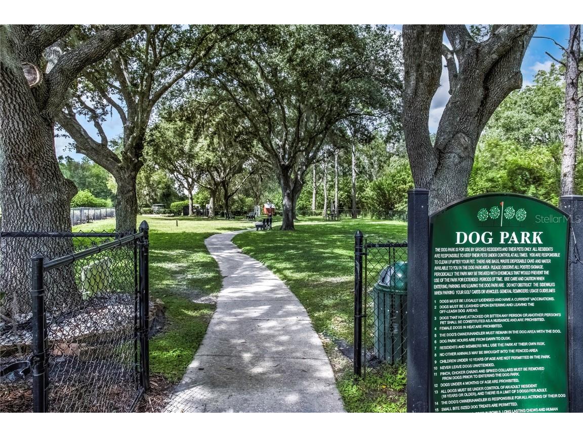 8128 Ambersweet Place Land O Lakes FL 34637 TB8430541 image38