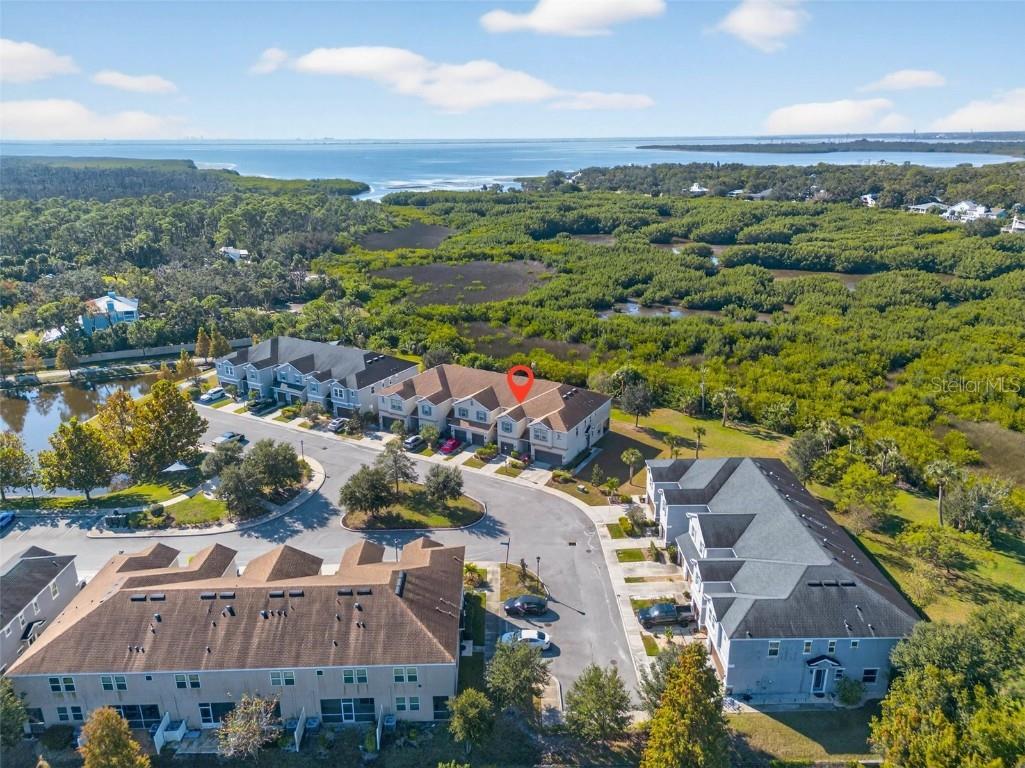 8128 Muddy Pines Place Tampa FL 33635 TB8452086 image32