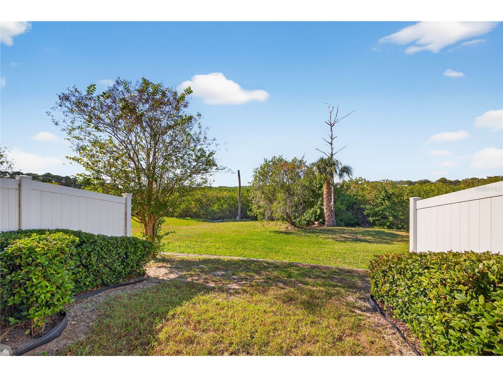 8128 Muddy Pines Place Tampa FL 33635 TB8507055 image28