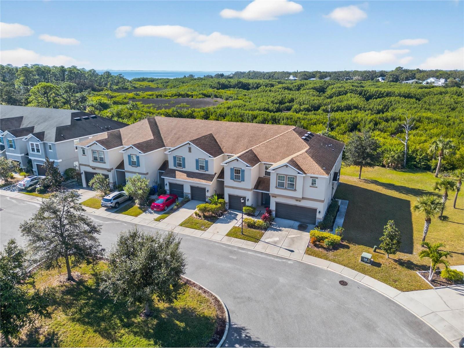 8128 Muddy Pines Place Tampa FL 33635 TB8507055 image29