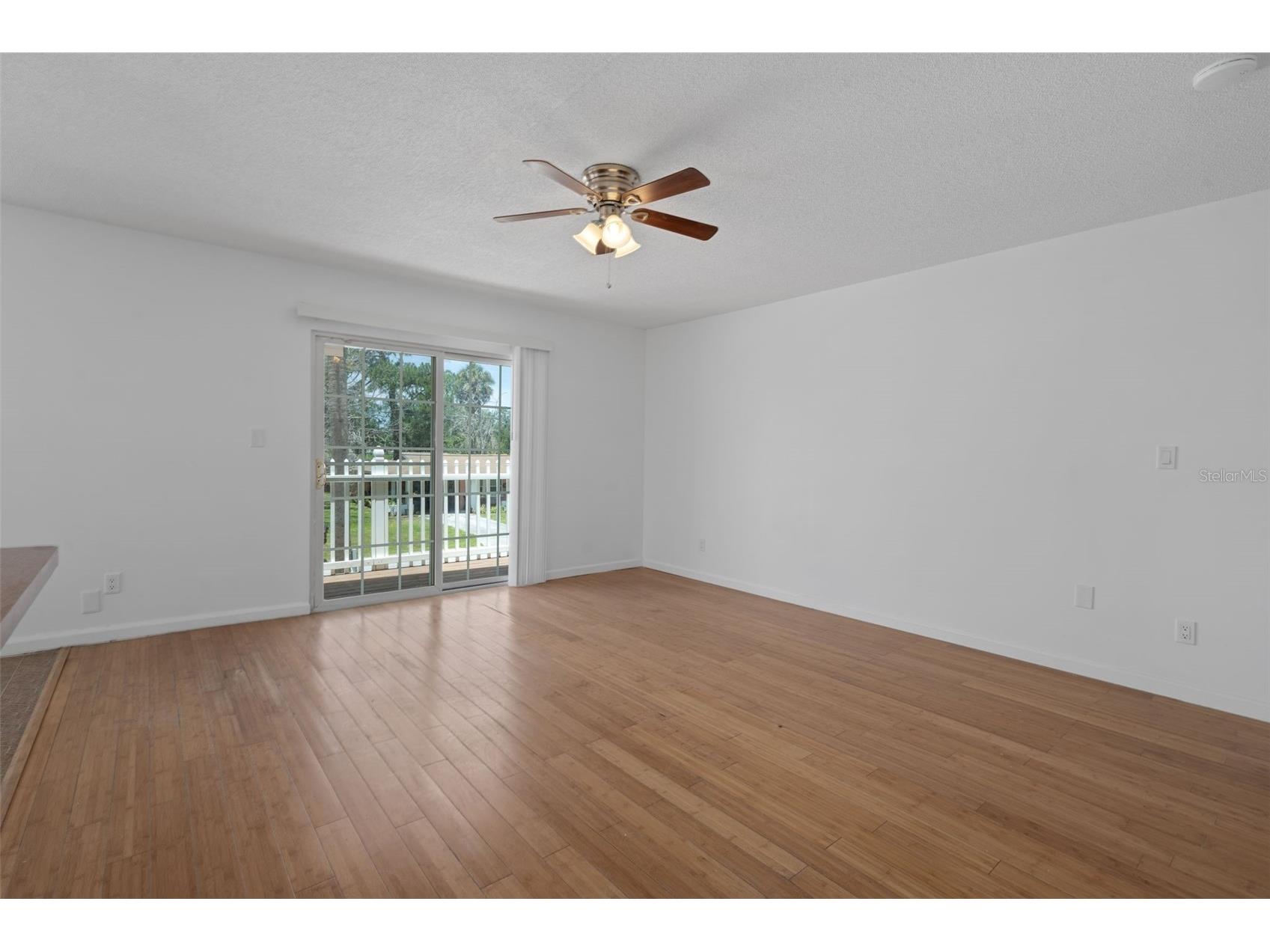 8128 Papaya Street Port Richey FL 34668 W7886591 image10