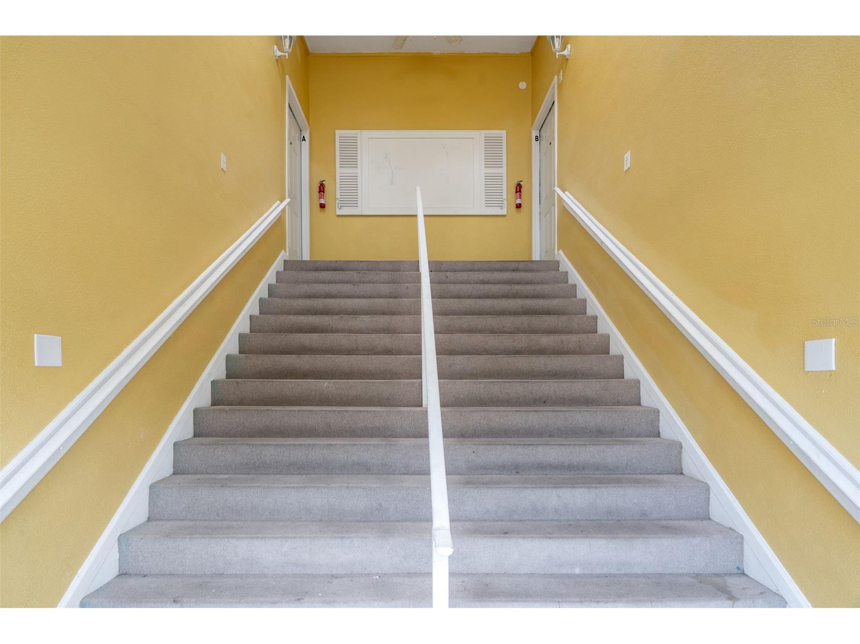 8128 Papaya Street Port Richey FL 34668 W7886591 image5