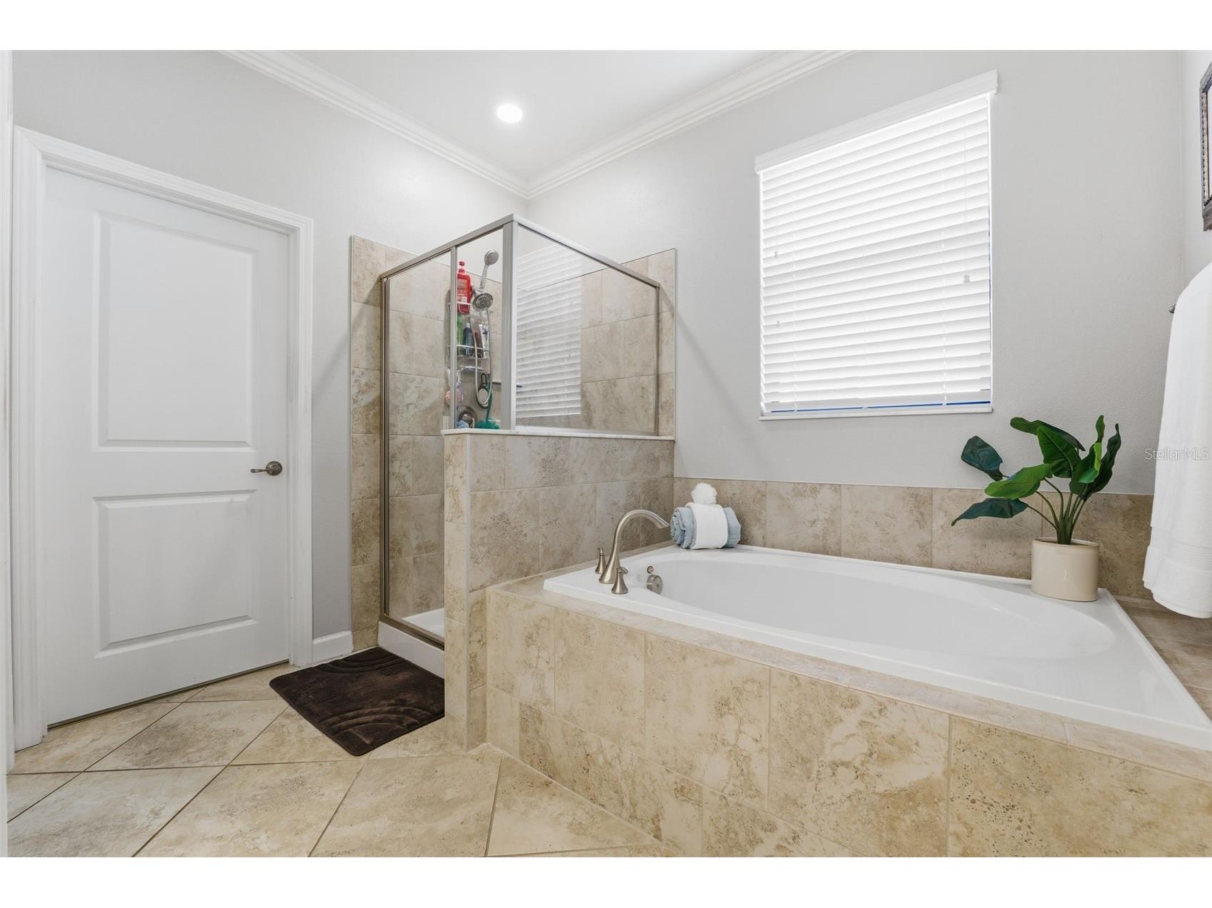 8128 Sequester Loop Land O Lakes FL 34637 W7882050 image15