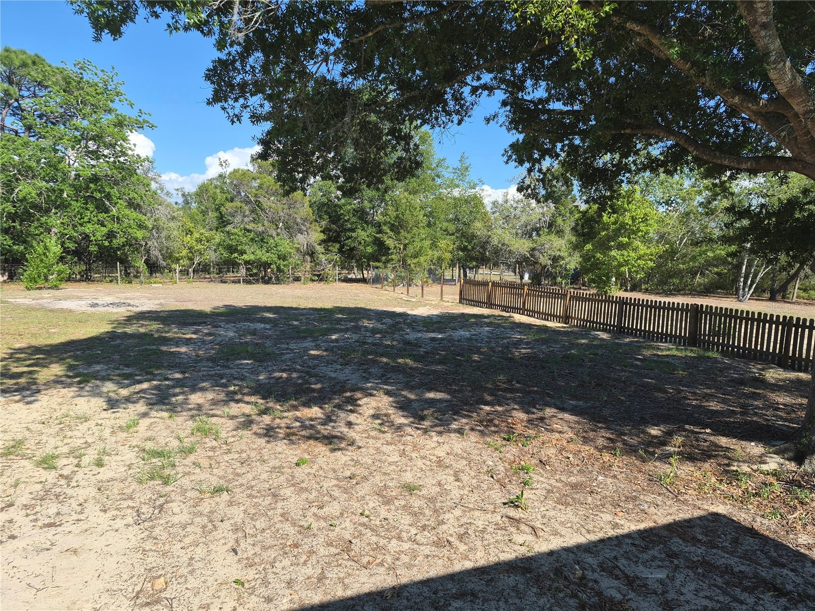 8128 Weeping Willow Street Brooksville FL 34613 TB8501607 image29