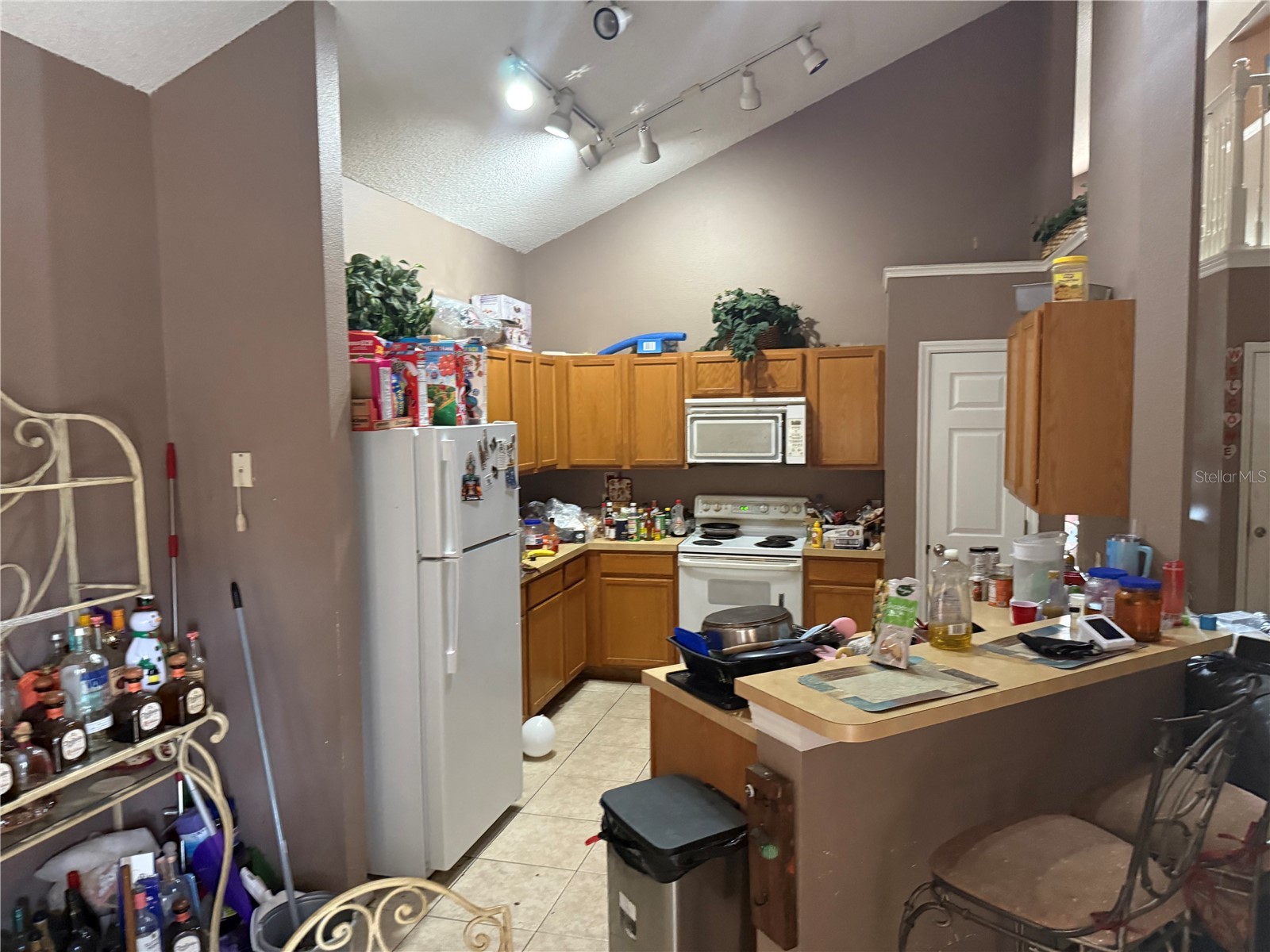 8128 Yellow Crane Drive Kissimmee FL 34747 O6402487 image15