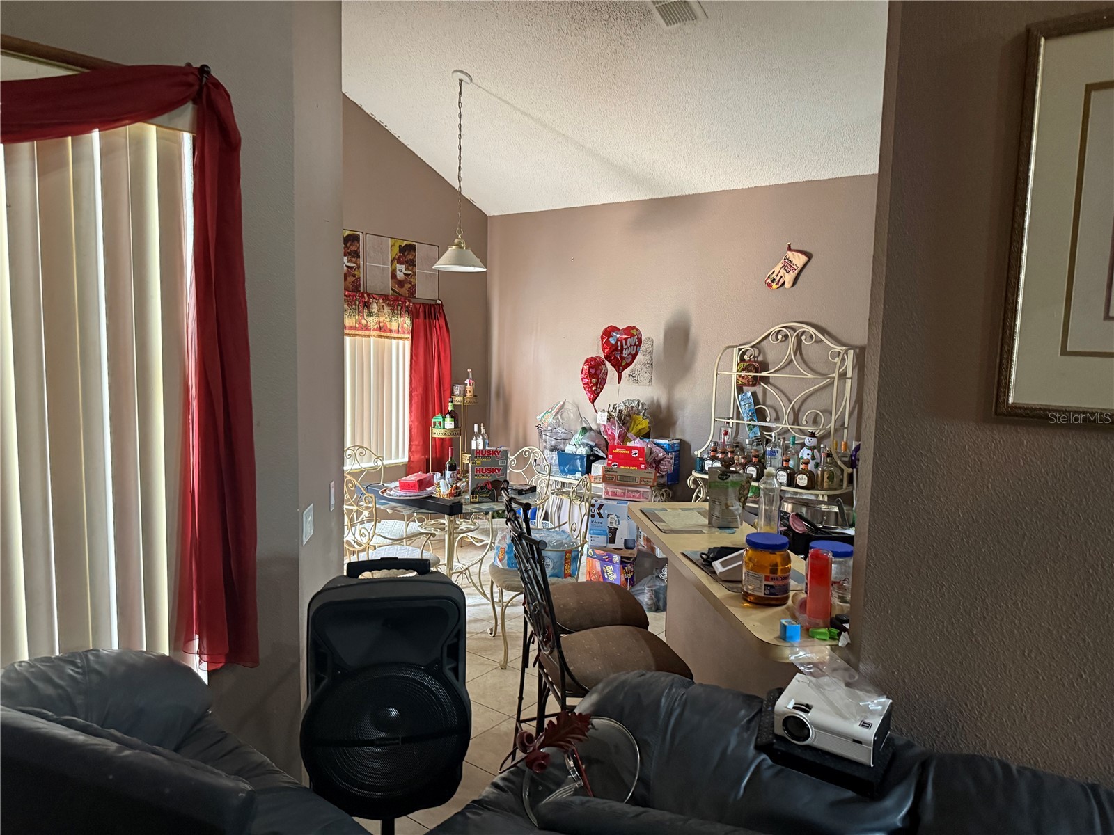 8128 Yellow Crane Drive Kissimmee FL 34747 O6402487 image17