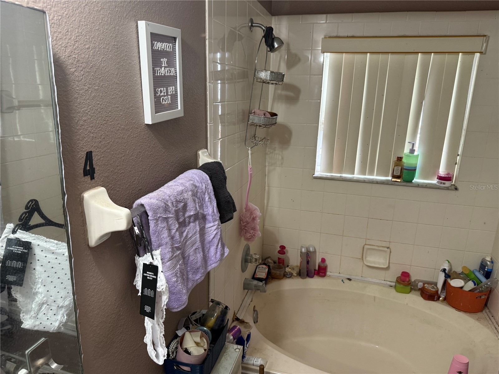 8128 Yellow Crane Drive Kissimmee FL 34747 O6402487 image21