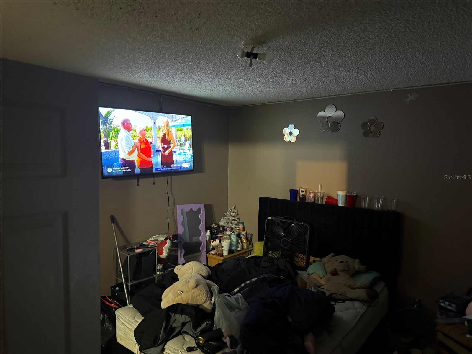 8128 Yellow Crane Drive Kissimmee FL 34747 O6402487 image27
