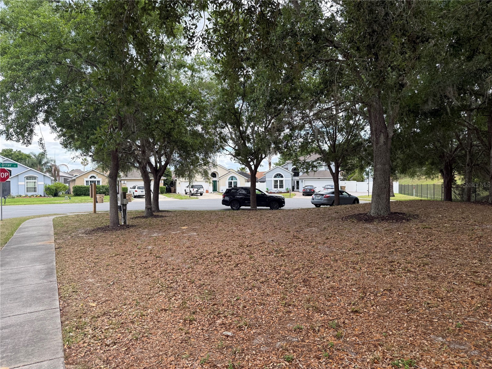 8128 Yellow Crane Drive Kissimmee FL 34747 O6402487 image3