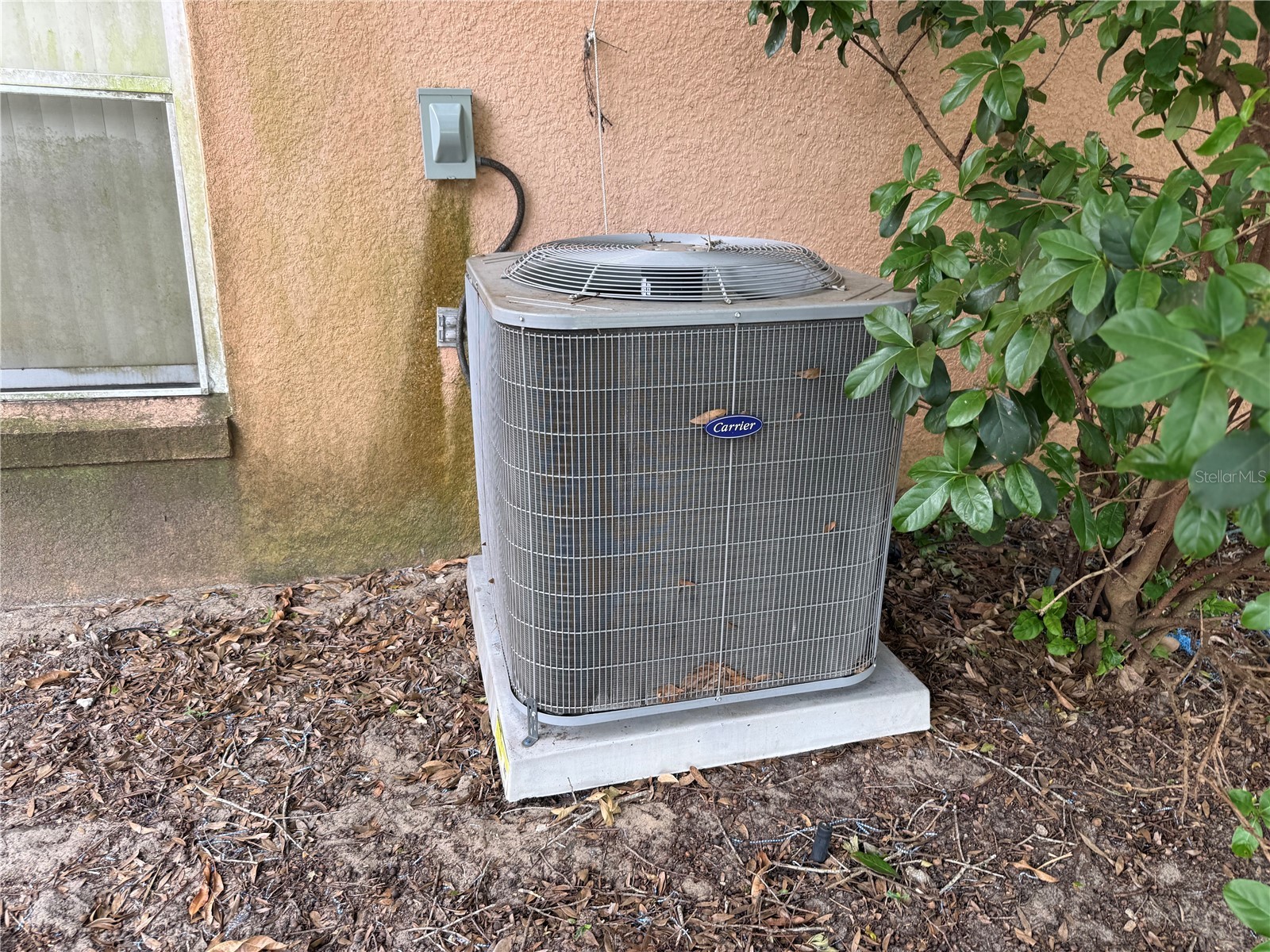 8128 Yellow Crane Drive Kissimmee FL 34747 O6402487 image36
