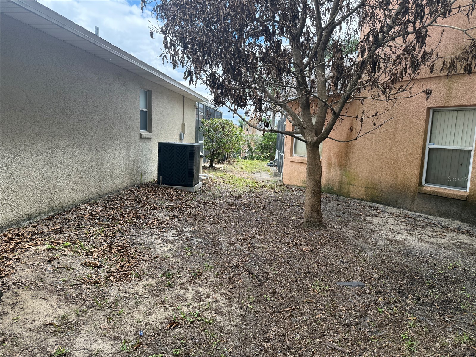 8128 Yellow Crane Drive Kissimmee FL 34747 O6402487 image44