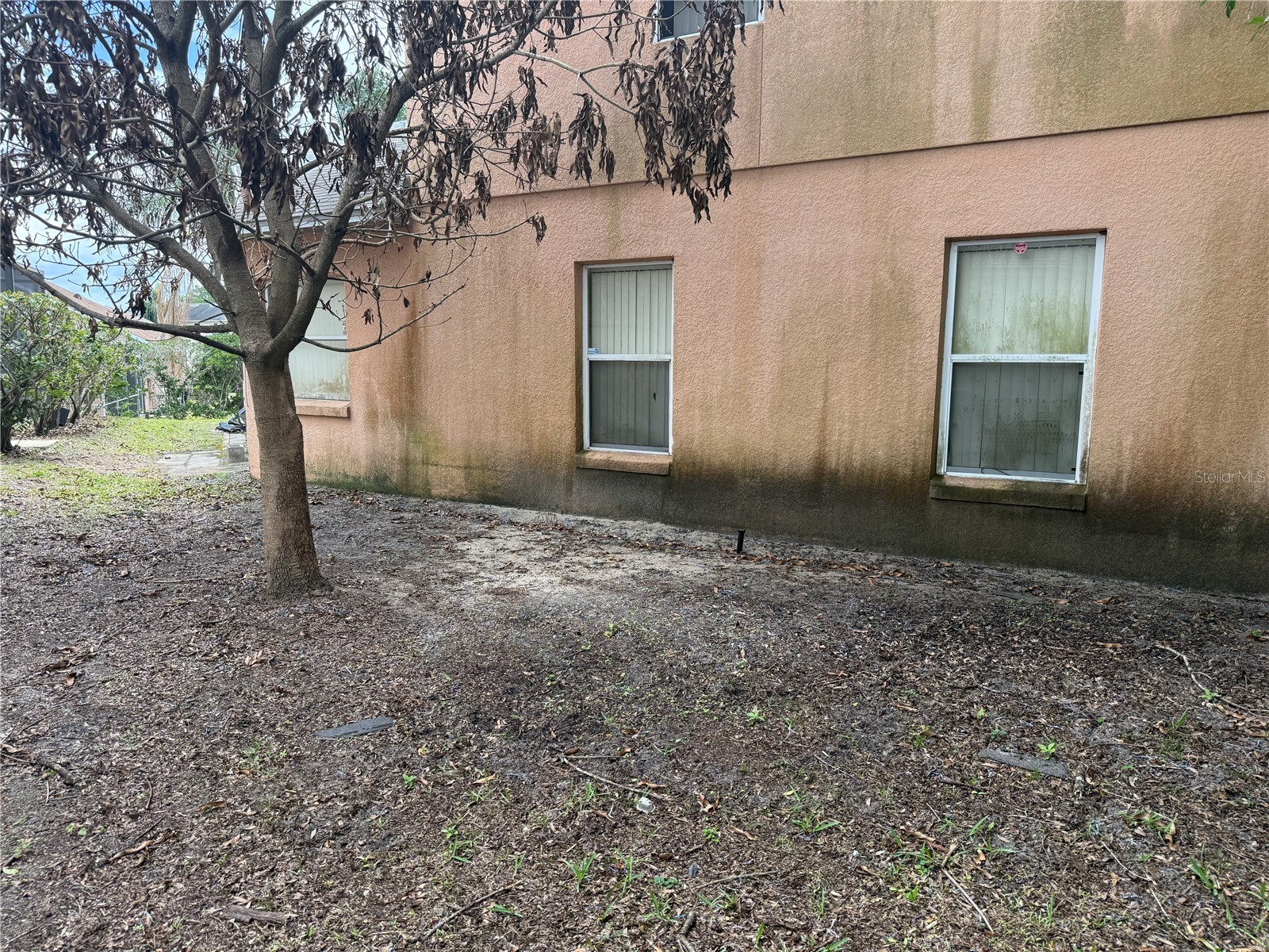 8128 Yellow Crane Drive Kissimmee FL 34747 O6402487 image45