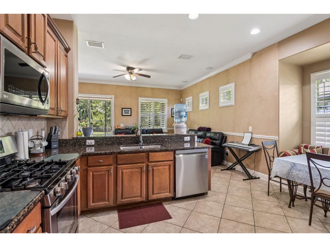 8129 Lagerfeld Drive Land O Lakes FL 34637 TB8413829 image16