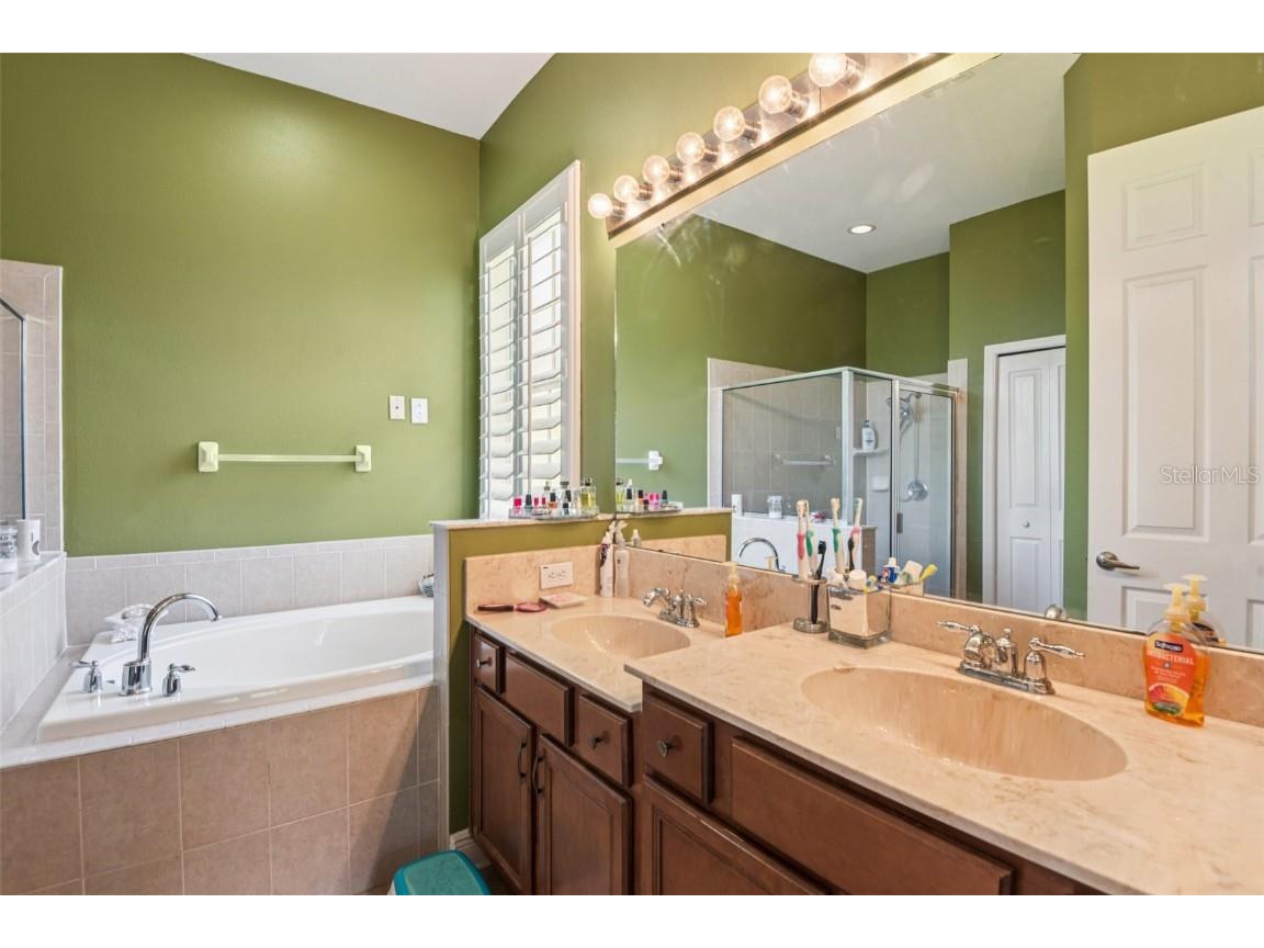 8129 Lagerfeld Drive Land O Lakes FL 34637 TB8413829 image27