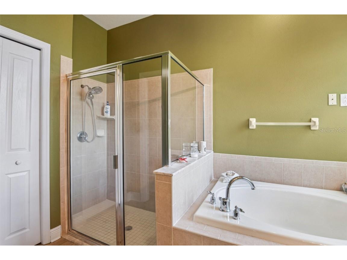 8129 Lagerfeld Drive Land O Lakes FL 34637 TB8413829 image28