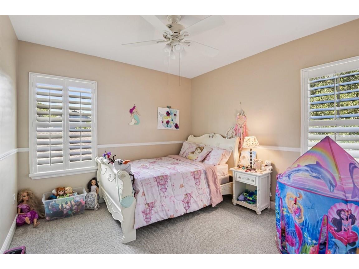 8129 Lagerfeld Drive Land O Lakes FL 34637 TB8413829 image34