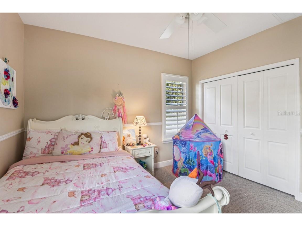 8129 Lagerfeld Drive Land O Lakes FL 34637 TB8413829 image35