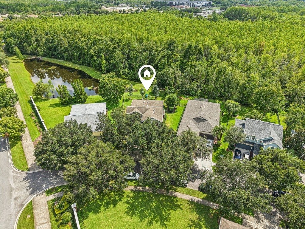 8129 Lagerfeld Drive Land O Lakes FL 34637 TB8413829 image47