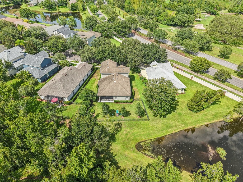 8129 Lagerfeld Drive Land O Lakes FL 34637 TB8413829 image50