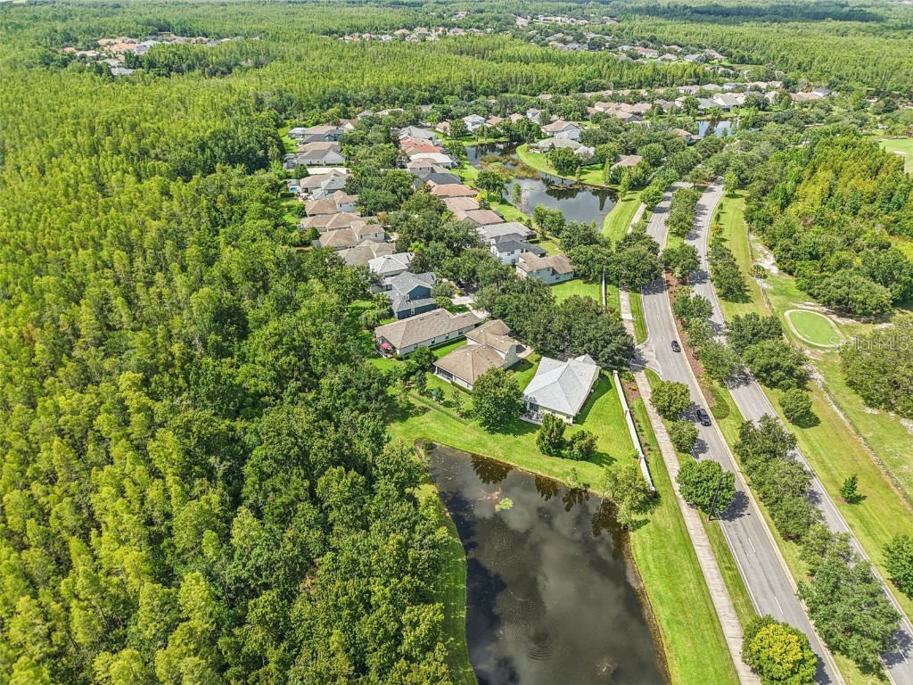 8129 Lagerfeld Drive Land O Lakes FL 34637 TB8413829 image51