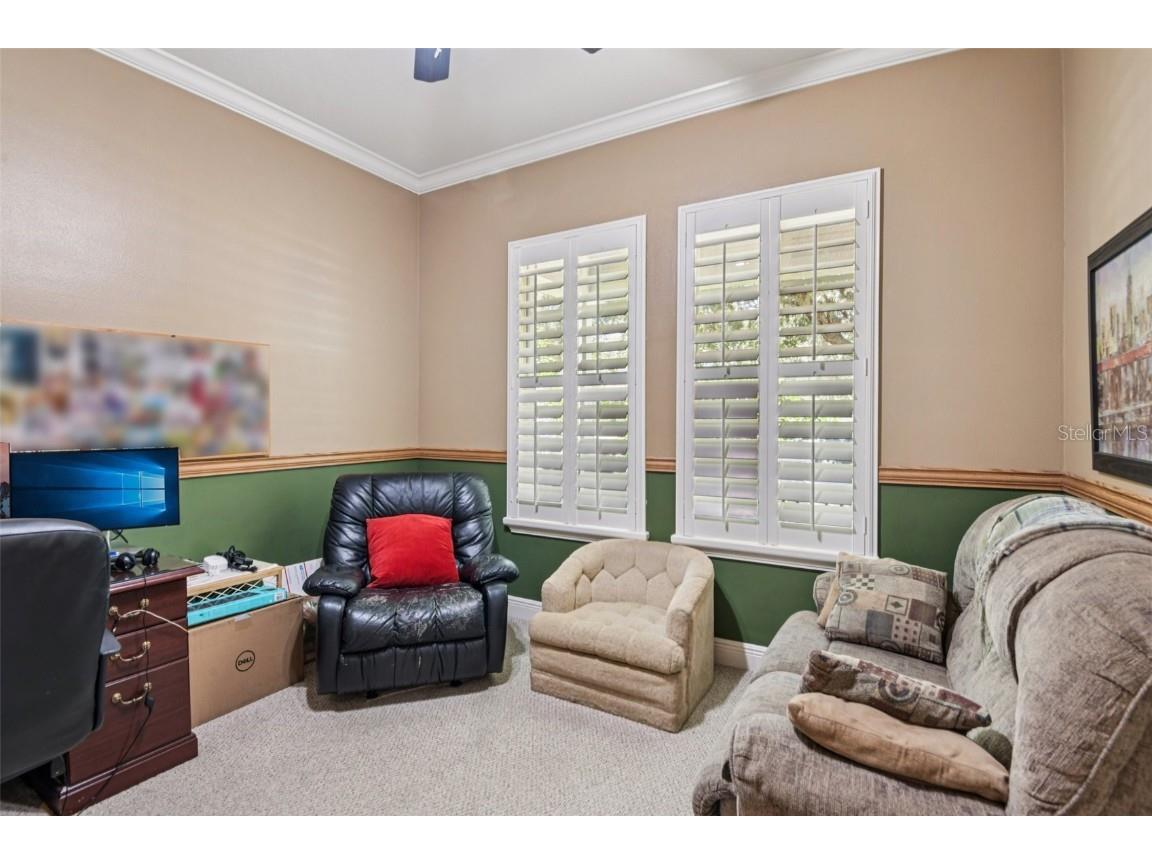 8129 Lagerfeld Drive Land O Lakes FL 34637 TB8413829 image7