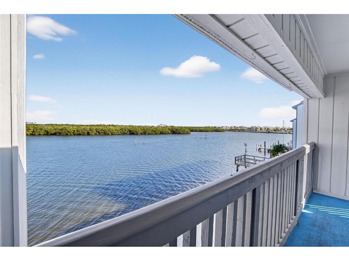 813 Bahia Del Sol Drive #34 Ruskin FL 33570 TB8454961 image40