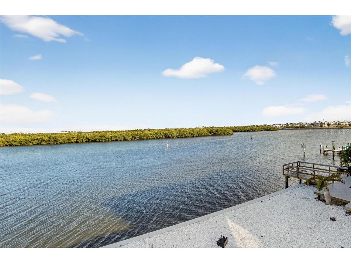 813 Bahia Del Sol Drive #34 Ruskin FL 33570 TB8454961 image44