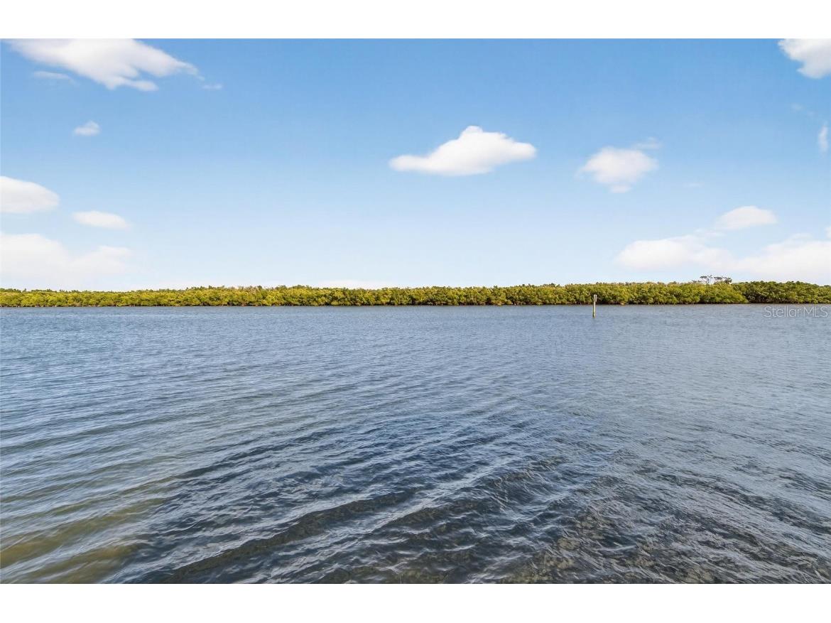 813 Bahia Del Sol Drive #34 Ruskin FL 33570 TB8454961 image45